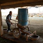 15.การให้อาหารเป็ดไข่