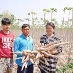 2.คุณวิไลลักษณ์-ชาวไร่มันสำปะหลัง