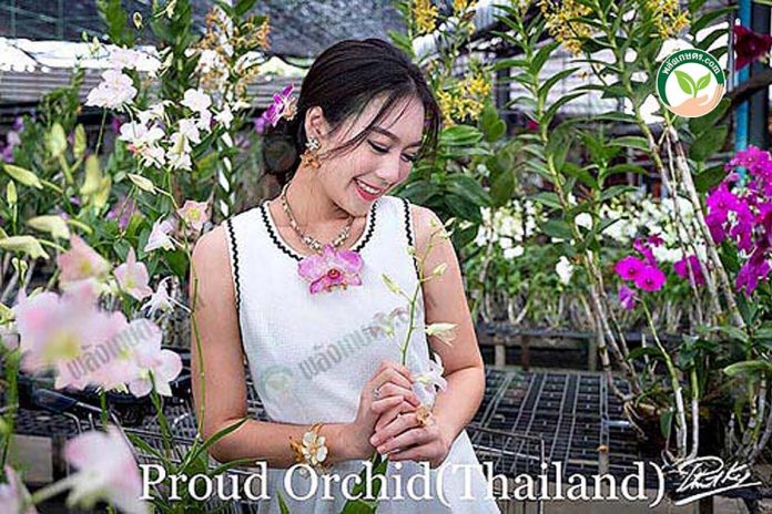 เครื่องประดับจากดอกกล้วยไม้ เครื่องประดับจากดอกกล้วยไม้