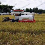 5.การเก็บเกี่ยวผลผลิตในปัจจุบัน