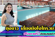 กุ้งขาว-เลี้ยงให้รวย-ปรึกษาฟรี-สิบแสนฟาร์ม-เสาหลักวงการแฮชเชอรี่2