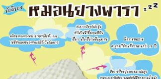 หมอนยางพารา-info1