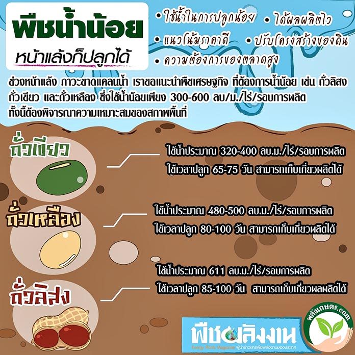 My Image 36