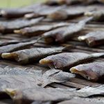 10.การแปรรูปเป็นปลาสลิดแดดเดียว