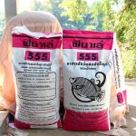 6.การให้อาหารใช้ของแบรนด์ฟินาเล่-ไคโตซานเป็นอาหารเสริม