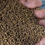 7.การให้อาหาร