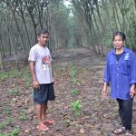 7.คุณไพศาล-เสาวคน-และภรรยา-ปลูกกาแฟโรบัสต้าในสวนยาง