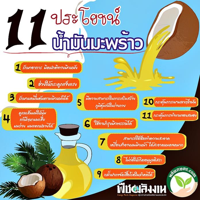 น้ำมันมะพร้าว น้ำมันมะพร้าว