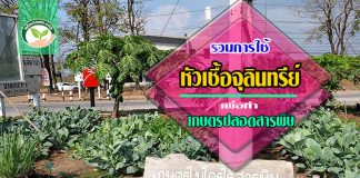 หัวเชื้อจุลินทรีย์1