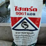 4.อาหารสำหรับอนุบาลปลาดุกเล็ก