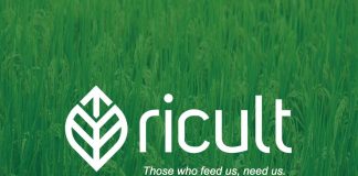 Ricult-รีเค้าล์