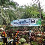 สวนวิชาพันธุ์ไม้