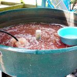 5.ไรแดง-อาหารสำหรับลูกพันธุ์ปลาแรด-ปลากราย