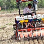 6.การทำนาแบบหว่านเมล็ดพันธุ์