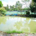 7.บ่อพักน้ำสำหรับไปใช้ในบ่อต่างๆ