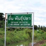 9.อั๋นพันธุ์ปลา