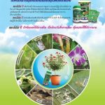 Advertisement-Banner-by-บริษัท-โซตัส-อินเตอร์เนชั่นแนล-จำกัด-www.sotus.co.th