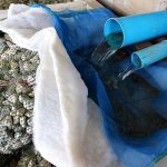 ระบบกรองน้ำก่อนนำไปใช้ในโรงเพาะฟัก