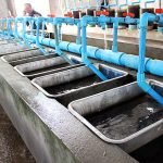 ระบบเพาะฟักไข่ในโรงเพาะฟัก