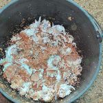 5.เศษขี้เลื่อยที่แคะออกมาจากก้อนเชื้อเห็ด