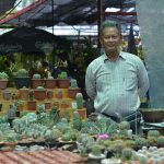 2.คุณธนา-อัศวเดช-เกษตรกรผู้ผลิตไม้อวบน้ำ-จ.นนทบุรี