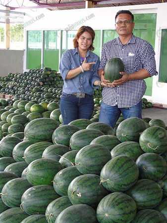 5.รับซื้อผลผลิตทั้งหมดทุกเกรด