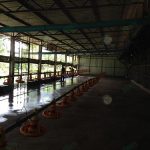 6.พักเล้า-ทำความสะอาด