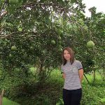 7.ผลผลิตส้มโอคุณภาพปลอดภัยจากสารเคมี