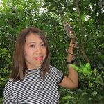 8.กิ่งตอนคุณภาพจากสวนป้าแจ๋วอัมพวา