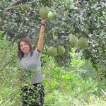 9.การบริหารจัดการสวน