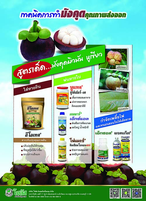 Advertisement-Banner-by-บริษัท-โซตัส-อินเตอร์เนชั่นแนล-จำกัด-www.sotus.co.th