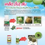 Advertisement-Banner-by-บริษัท-โซตัส-อินเตอร์เนชั่นแนล-จำกัด-www.sotus.co.th