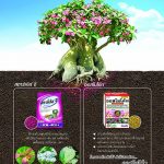 Advertisement-Banner-by-บริษัท-โซตัส-อินเตอร์เนชั่นแนล-จำกัด-www.sotus.co.th
