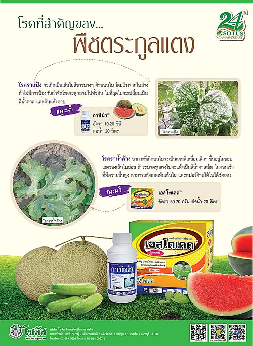 Advertisement-Banner-by-บริษัท-โซตัส-อินเตอร์เนชั่นแนล-จำกัด-www.sotus.co.th