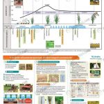 KUBOTA-ปฏิทินข้าวนาหยอด