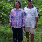 2.คุณป้ากัลยา-ปลูกมะละกอพันธุ์ฮอลแลนด์-จ.อ่างทอง-และคุณลุงสุนทร-อาระวิล