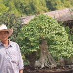 2.คุณละมูล-รอดอ่อน-กับบอนไซหมากเล็กหมากน้อย