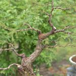 3.แค่วางโครงสร้างก็เห็นแววสวย