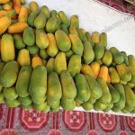 7.ผลผลิตที่เก็บได้