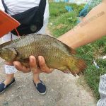 3.อ้วน-ใหญ่-ได้น้ำหนัก