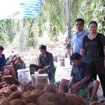 6.การดูแลคนงานทุกขั้นตอนการทำวัตถุดิบคุณภาพ
