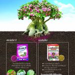 Advertisement-Banner-by-บริษัท-โซตัส-อินเตอร์เนชั่นแนล-จำกัด-www.sotus.co.th