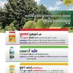 Advertisement-Banner-by-บริษัท-โซตัส-อินเตอร์เนชั่นแนล-จำกัด-www.sotus.co.th