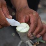 เมื่อตัดเสร็จแล้วใช้กาวร้อนทาบริเวณแผลทันที