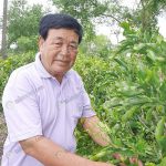 2.ลุงสำรี-ชาคำมูล-กับยอดผักหวานป่ายอดเหลือง