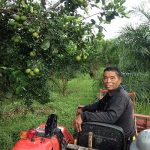 3.กำจัดหญ้าด้วยการใช้วิธีตัดหญ้า