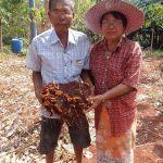 3.คุณวินัย-ฤทธิกุล-ประธานกลุ่มวิสาหกิจชุมชนขมิ้นชันปลอดสารพิษ