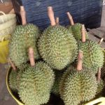 5.ผลผลิตที่ได้จากการดูแลและเอาใจใส่อย่างดี