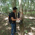 6.ขั้นตอนการใช้น้ำกรด-ตรากรดมดแดง