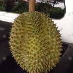6.ผลผลิตที่น่าพึงพอใจ